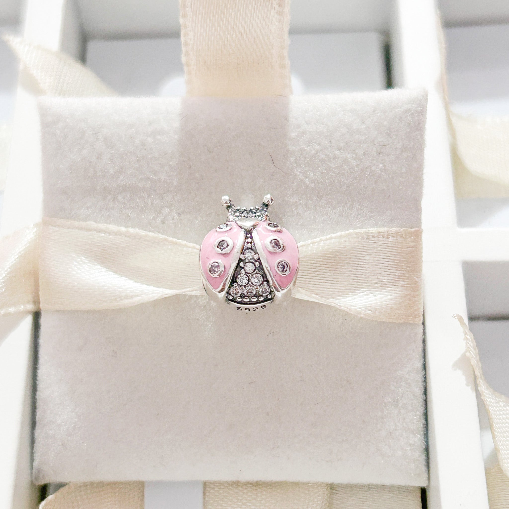 Charm Catarina Rosa Cristales
