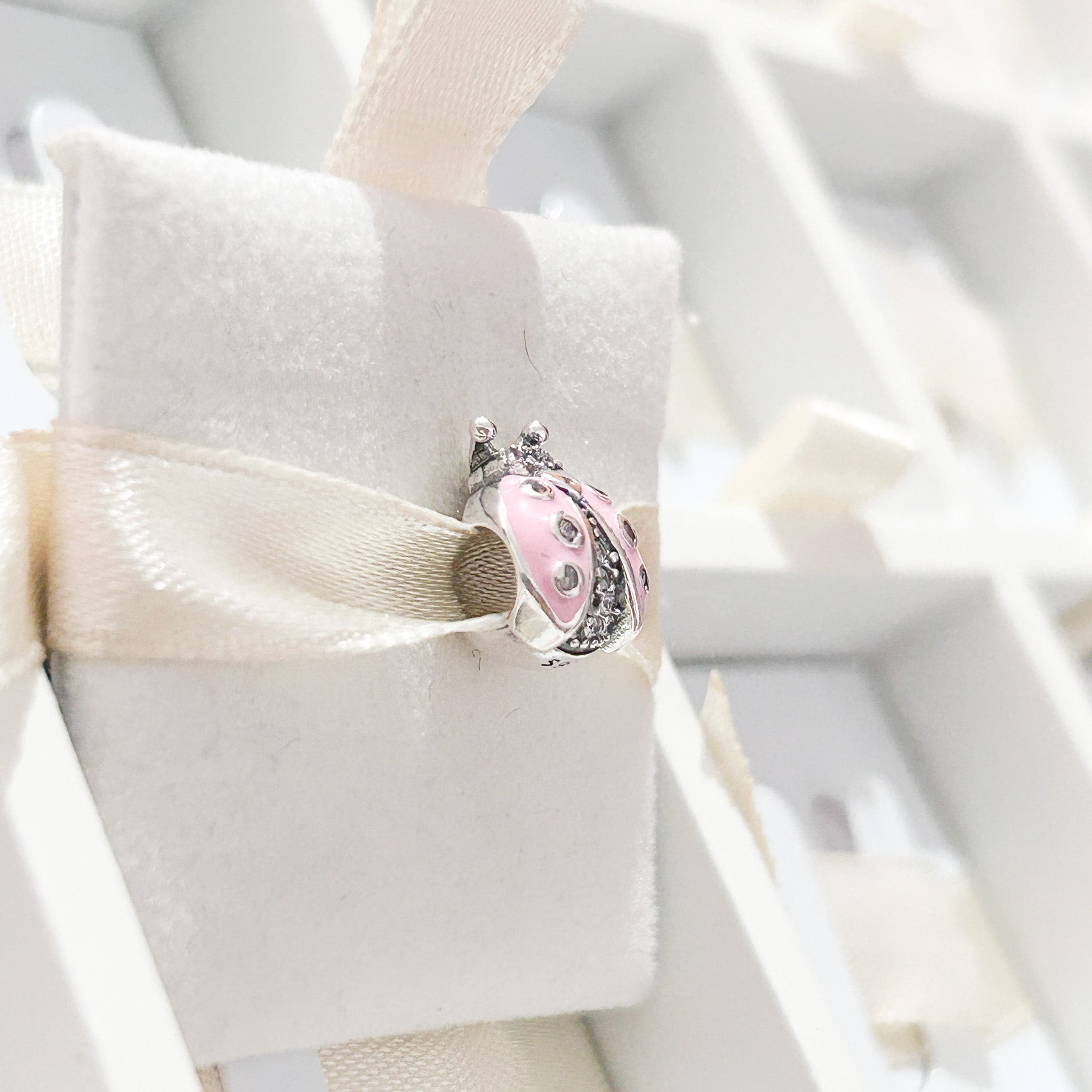 Charm Catarina Rosa Cristales
