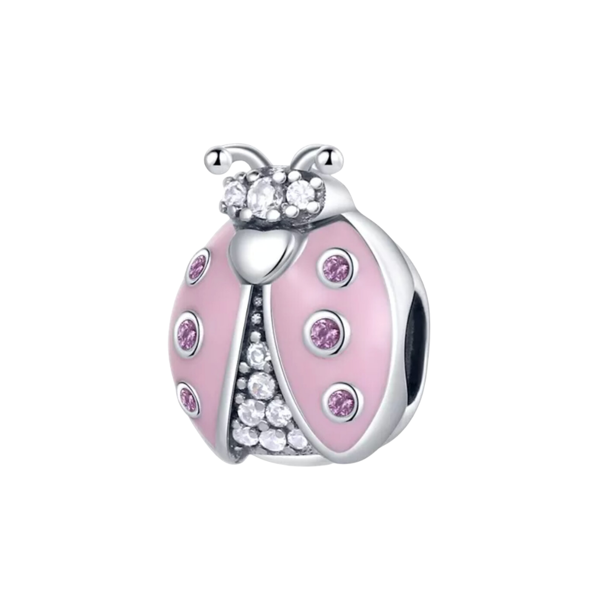 Charm Catarina Rosa Cristales