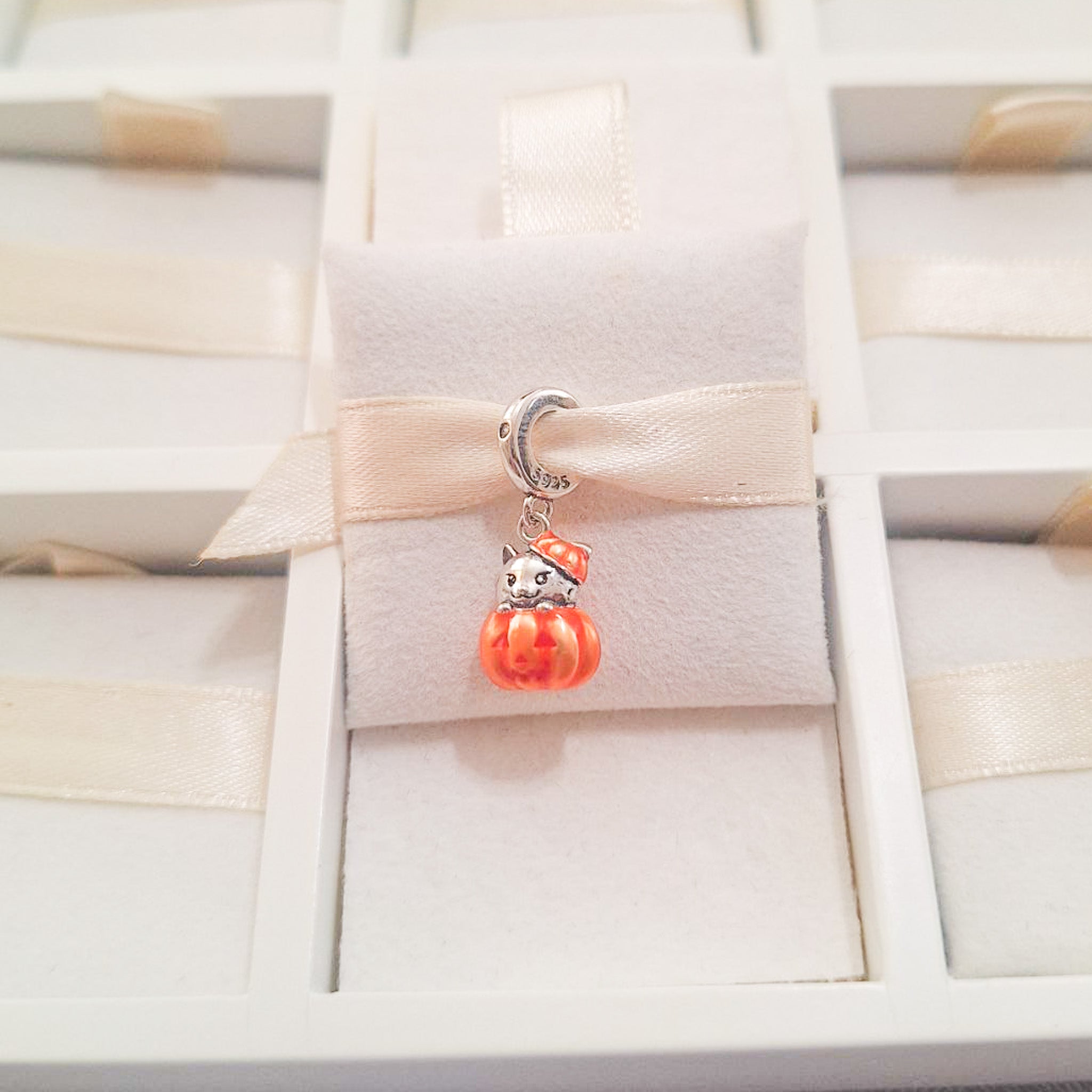 Charm Con Gato En Calabaza De Halloween