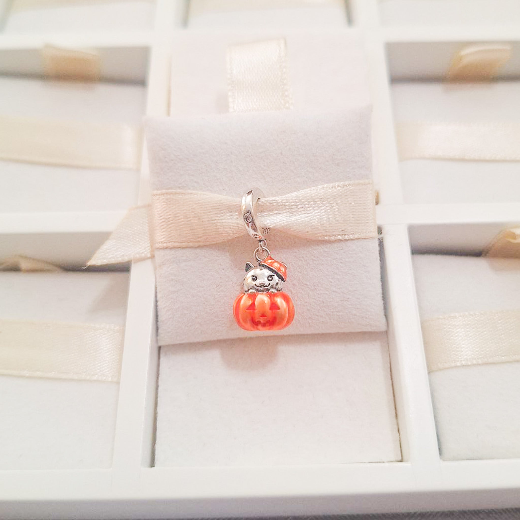 Charm Con Gato En Calabaza De Halloween